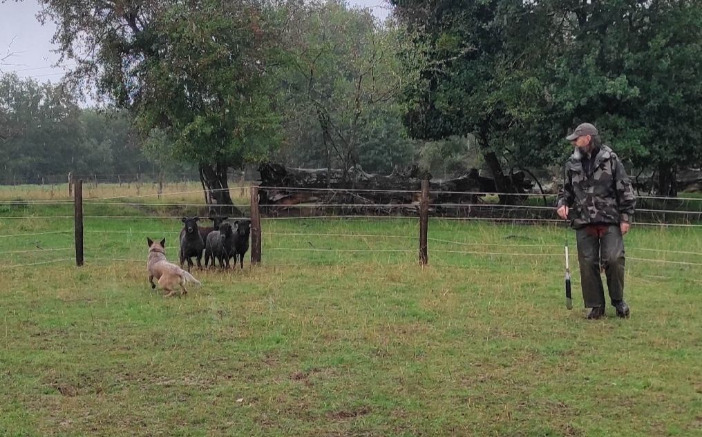 Véga Bingo a été confirmée et a validé son TAN 